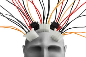 wired brain